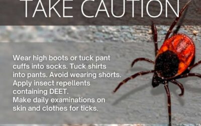 Protecting Against Ticks and Lyme Disease