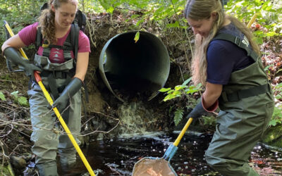 Perched Culverts – A Message from 5th Canadian Division Environmental Sciences Branch