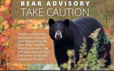 Bear Advisory – Take Caution